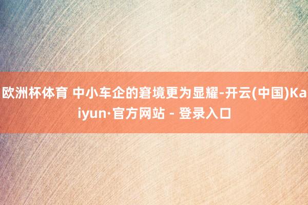 欧洲杯体育 中小车企的窘境更为显耀-开云(中国)Kaiyun·官方网站 - 登录入口