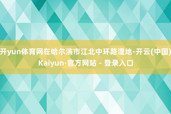 开yun体育网在哈尔滨市江北中环路湿地-开云(中国)Kaiyun·官方网站 - 登录入口