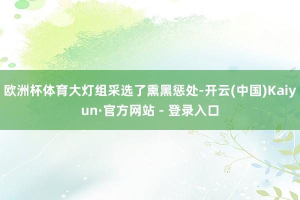 欧洲杯体育大灯组采选了熏黑惩处-开云(中国)Kaiyun·官方网站 - 登录入口