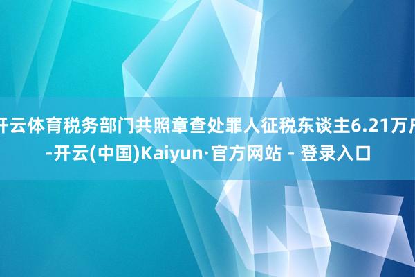 开云体育税务部门共照章查处罪人征税东谈主6.21万户-开云(中国)Kaiyun·官方网站 - 登录入口