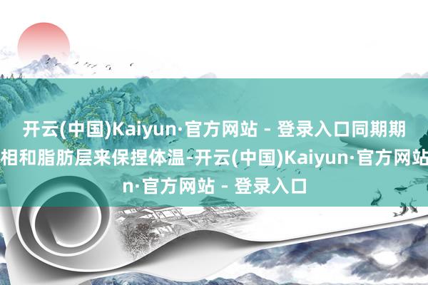 开云(中国)Kaiyun·官方网站 - 登录入口同期期骗结实的外相和脂肪层来保捏体温-开云(中国)Kaiyun·官方网站 - 登录入口