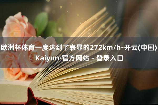 欧洲杯体育一度达到了表显的272km/h-开云(中国)Kaiyun·官方网站 - 登录入口
