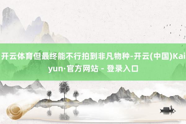开云体育但最终能不行拍到非凡物种-开云(中国)Kaiyun·官方网站 - 登录入口